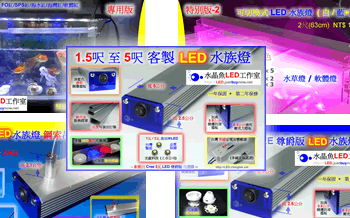 Customise Aqua LED Lighting